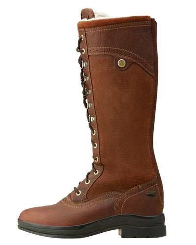 Dark Brown Coloured Ariat Wythburn Tall Waterproof Boots On A White Background #colour_dark-brown