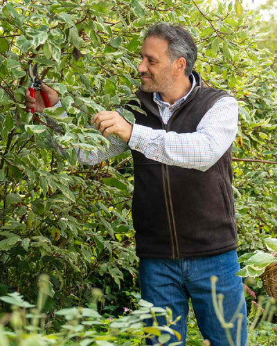 Chocolate Coloured Baleno Harvey Fleece Gilet on garden background #colour_chocolate