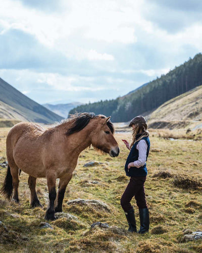 Midnight Navy Coloured Hoggs of Fife Stenton Ladies Fleece Gilet on mountain background #colour_midnight-navy