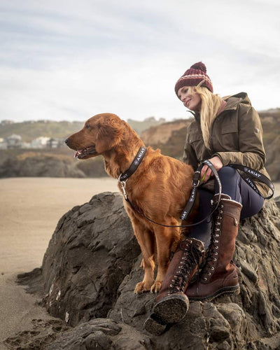 Earth Coloured Ariat Womens Argentium Waterproof Parka On A Desert Background #colour_earth